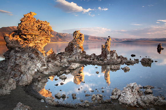 Golden Tufa