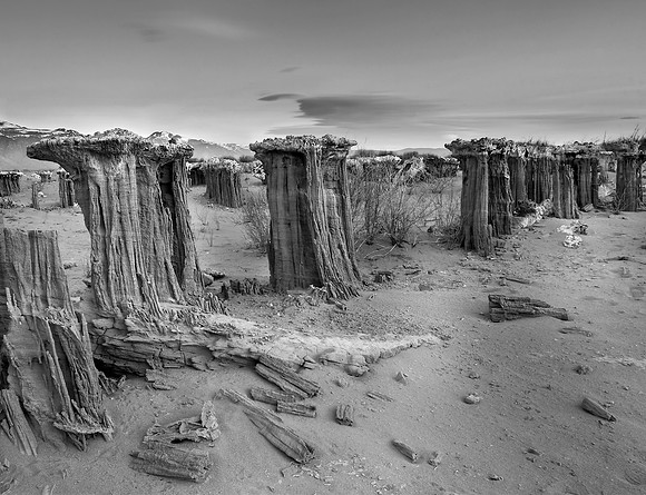 Sand Tufas - Mono Lake