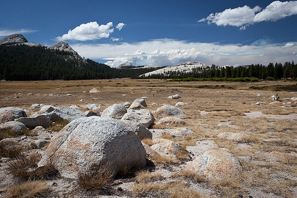 Morning view from Tuolumne Meadows