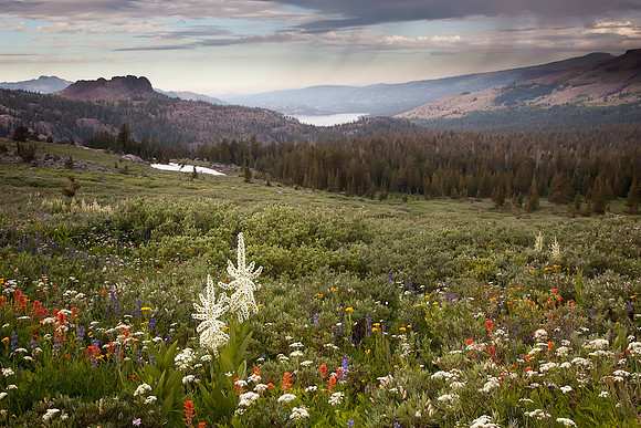 Trail to Lake Winnemucca #2