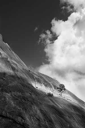 Lone Tree - Pywiack Dome