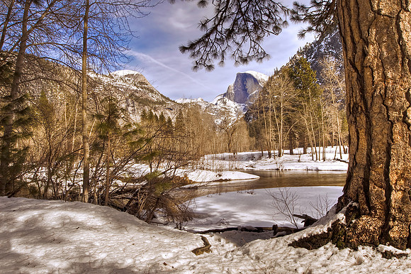 Winter Wonderland