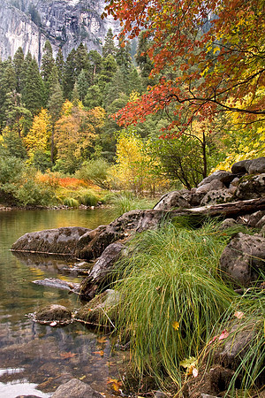 Merced River - Fall Colors